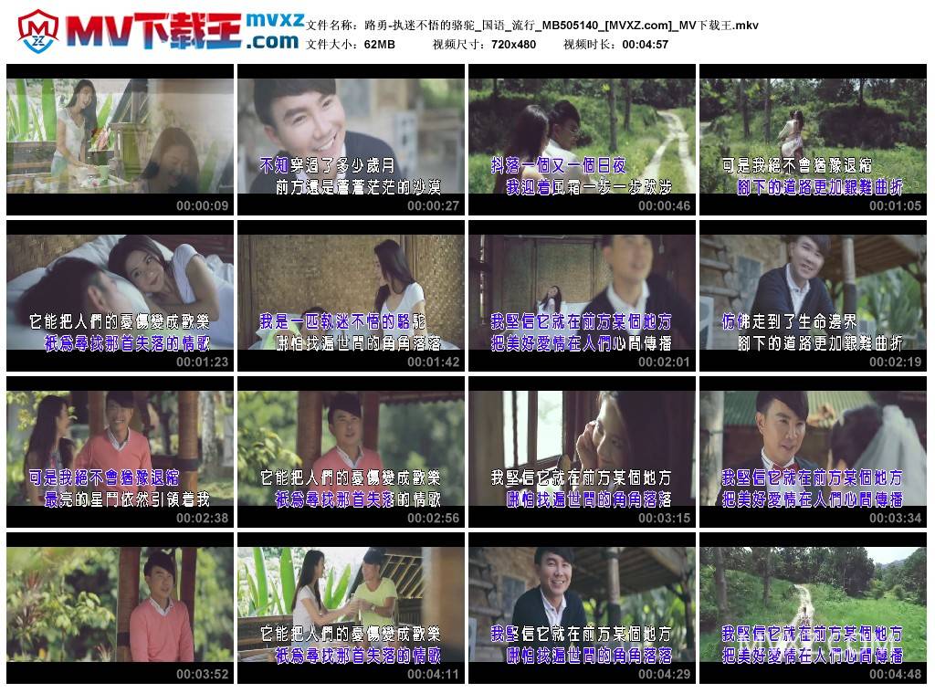 路勇-执迷不悟的骆驼_国语_流行_MB505140